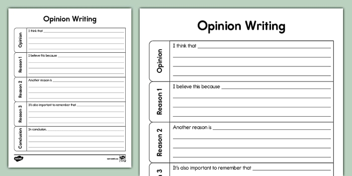 Engaging three-page opinion writing template for third graders, image 21 Third grade student completing the In My Opinion writing guide worksheet with opinion prompts
