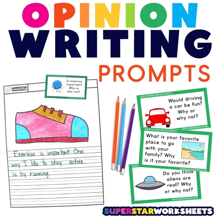 Third Grade Opinion Writing Check-In worksheet for assessing student responses