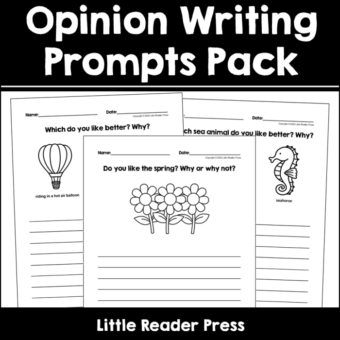 Third grade Opinion Writing Check-In worksheet for assessing student responses