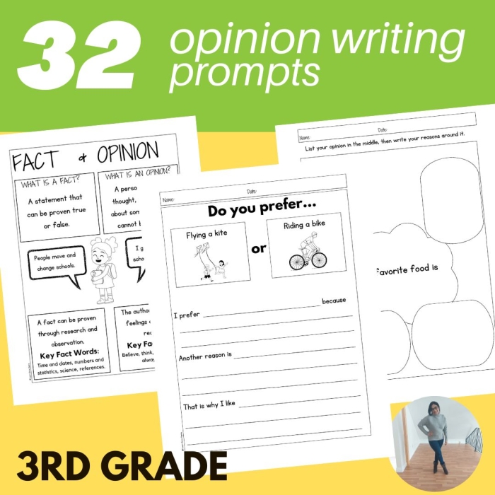 Third grade Opinion Writing Check-In worksheet for assessing student responses