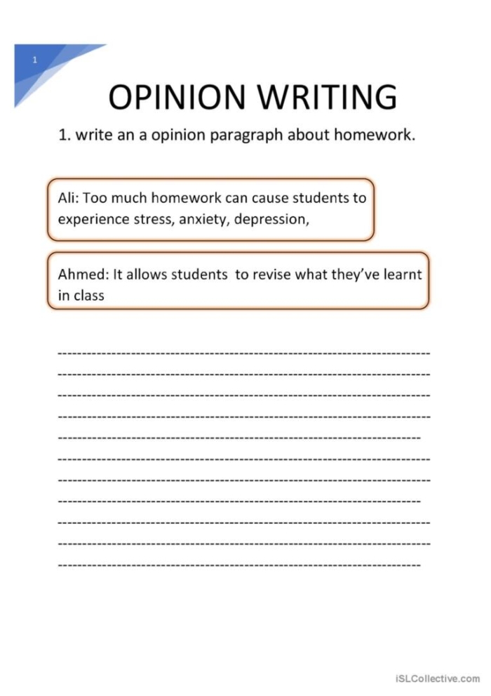 Third grade Opinion Writing Check-In worksheet for assessing student responses