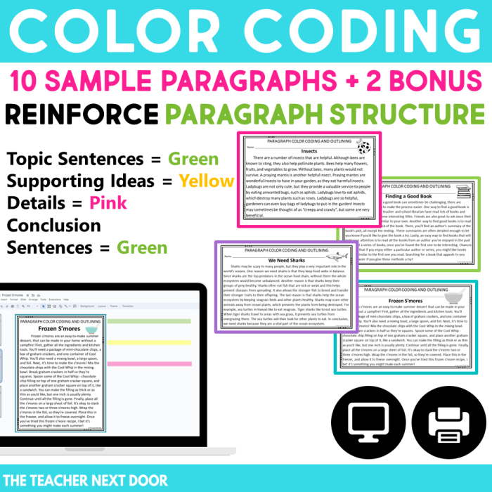 Color Code the Paragraph worksheet example for grammar and mechanics, image 2 Third grade student using a Color Code the Paragraph worksheet to highlight parts of an informative paragraph