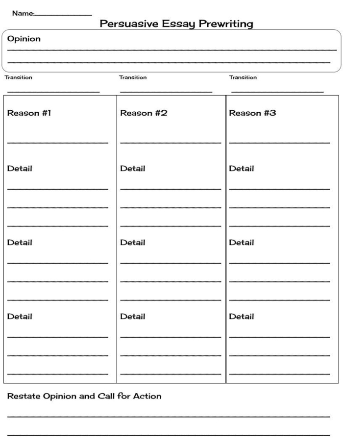 Persuasive Writing Worksheet 15 with Organizer for Young Writers Third grade persuasive writing graphic organizer template showing spaces for topic sentence, supporting reasons, and concluding sentence