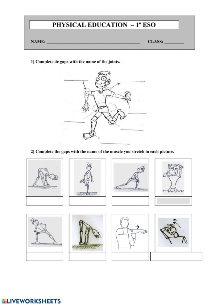 Integers and Rational Numbers worksheet for Third Grade Choice board featuring various physical activities for third graders, including yoga, dance, and ball games. Engaging Physical Education Choice Board worksheet for inspiring active play.