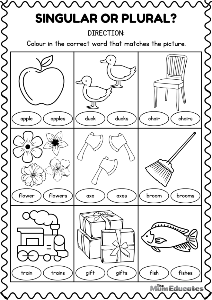 Third grade plural nouns practice worksheet showing singular to plural word conversion exercises for time and money vocabulary
