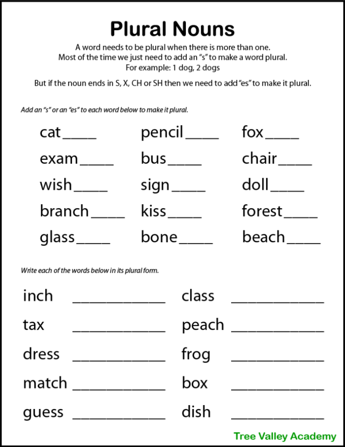 Third grade students practicing converting singular nouns to plural forms on a grammar worksheet