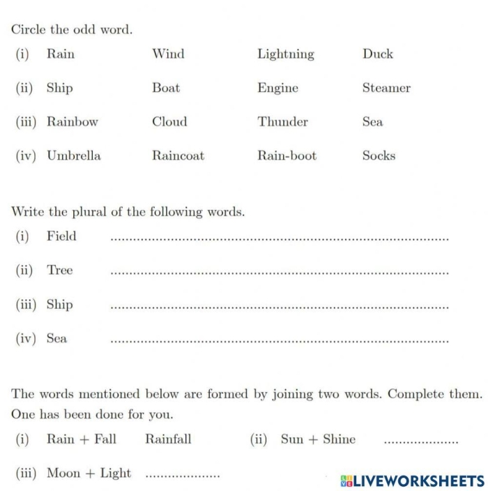 Third grade worksheet showing singular and plural noun conversion exercises for regular nouns