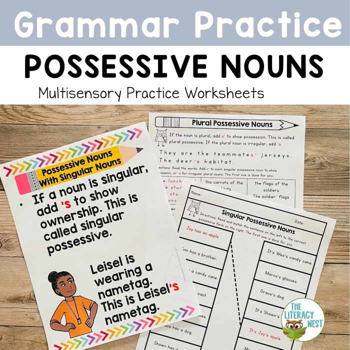 It’s Grammar Time: Possessive Nouns Worksheet Image 21 Worksheet for practicing possessive nouns in third grade writing skills