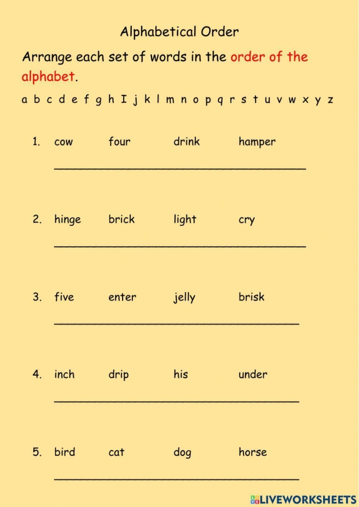 Third Grade worksheet focused on writing summaries using time order words in a fractions lesson