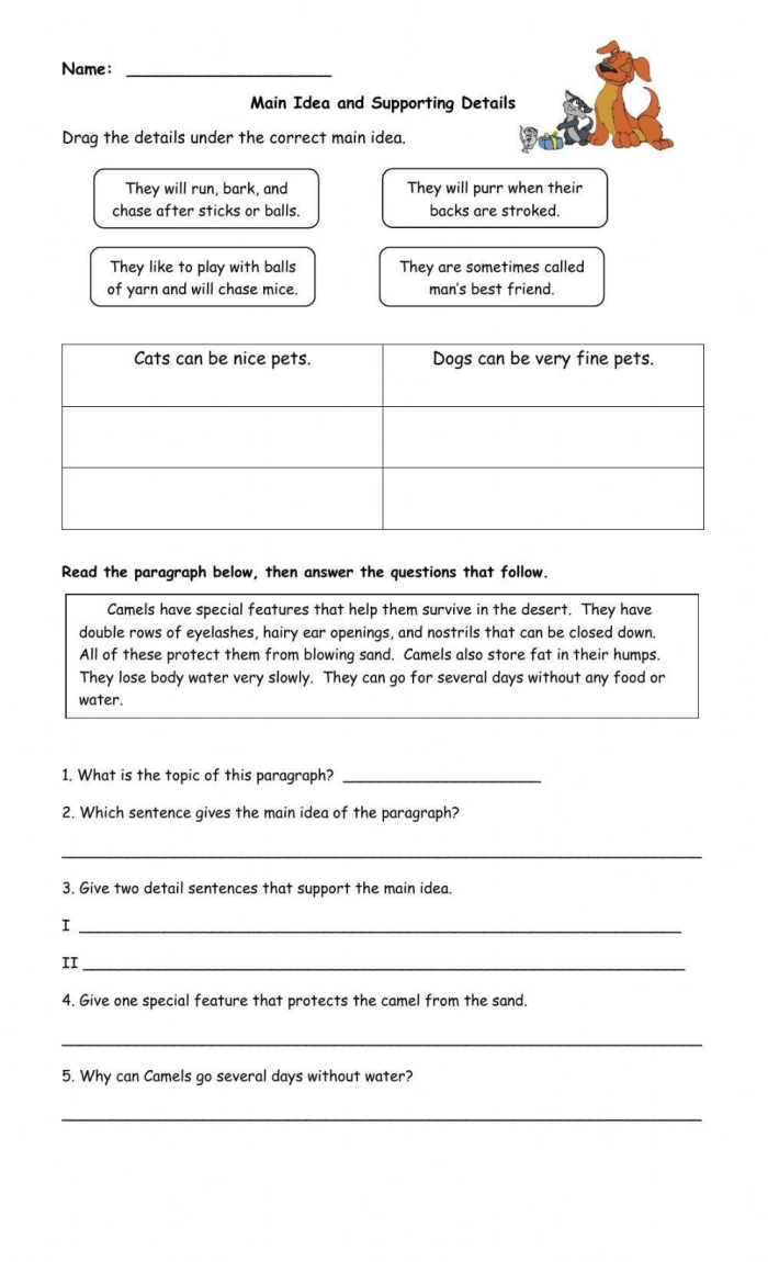 Worksheet for third graders focusing on identifying supporting details about the sun. Educational resource for enhancing literacy and science skills.