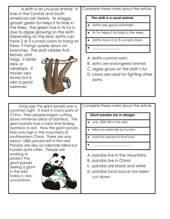 Worksheet featuring third graders identifying supporting details about the sun