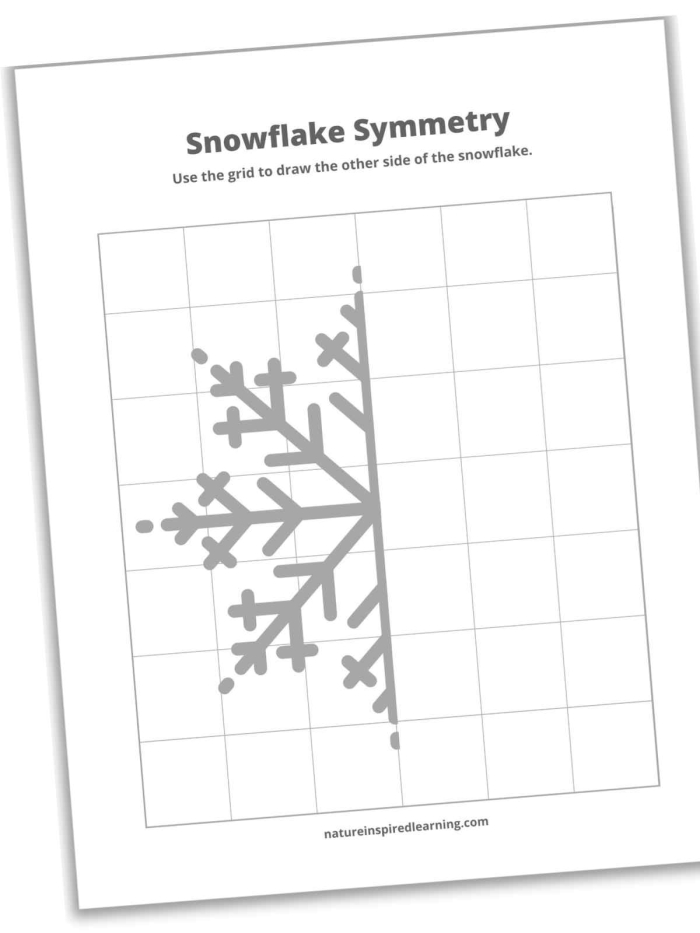 Third-grade Alphabet Symmetry worksheet focusing on identifying lines of symmetry in letters