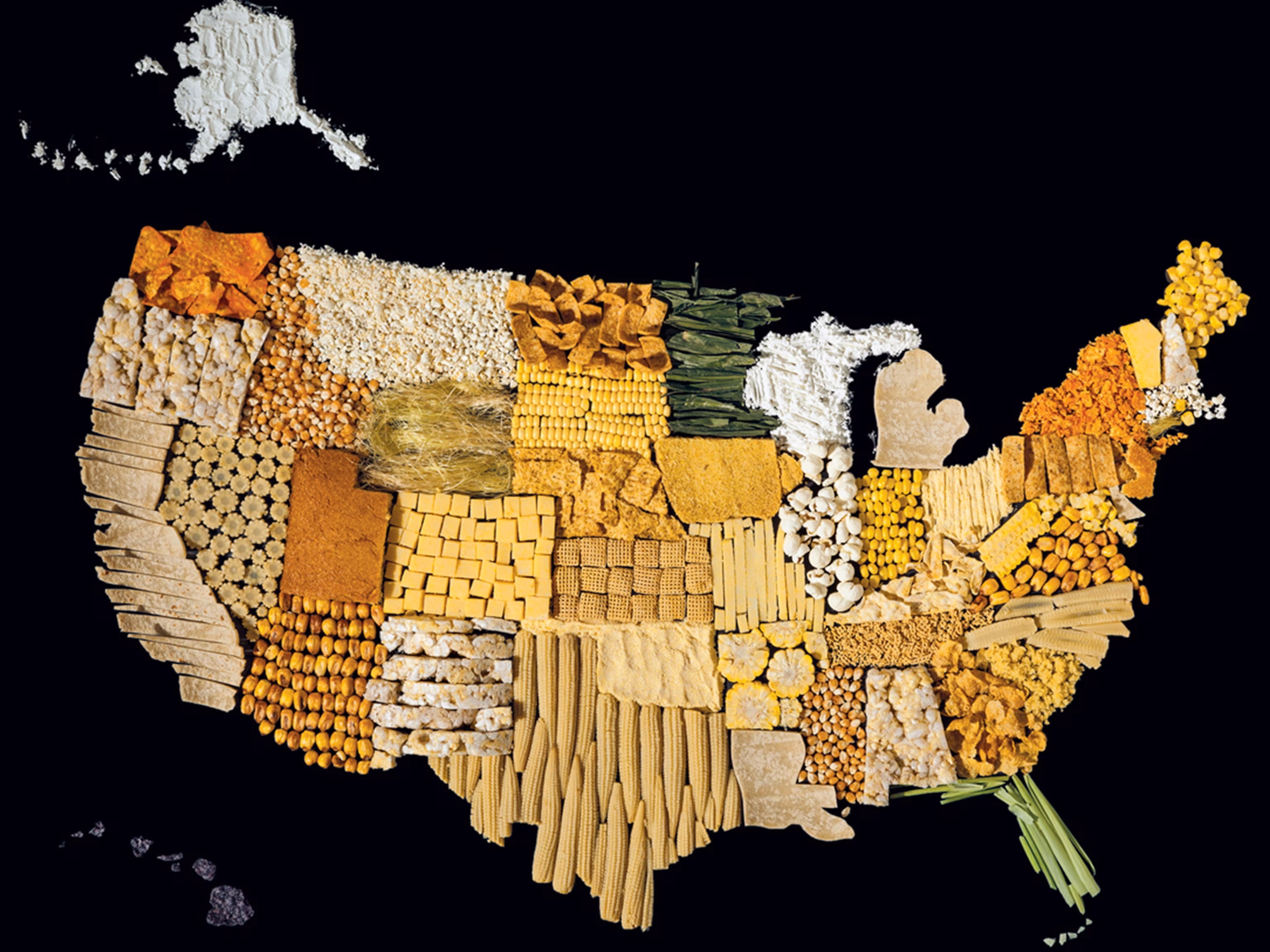 Explore the U.S. Food Map worksheet for third graders showing regional specialties Third Grade U.S. Food Map worksheet highlighting local foods across the states