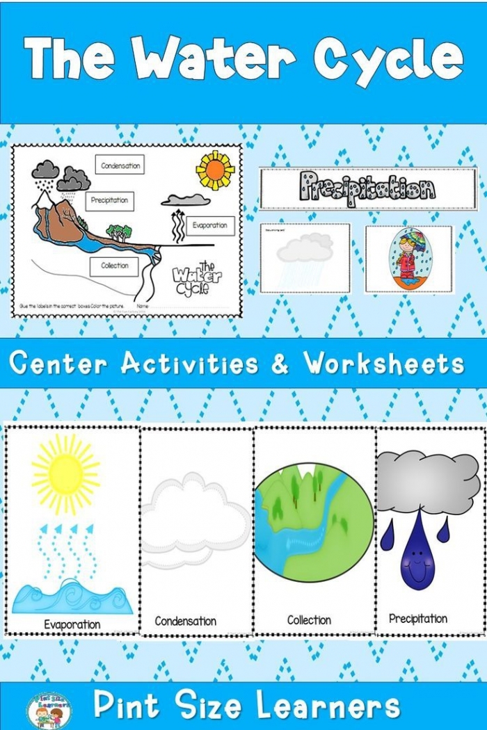 Engaging activity for understanding the sequential events of the water cycle A colorful worksheet illustrating the steps of the water cycle for third-grade students