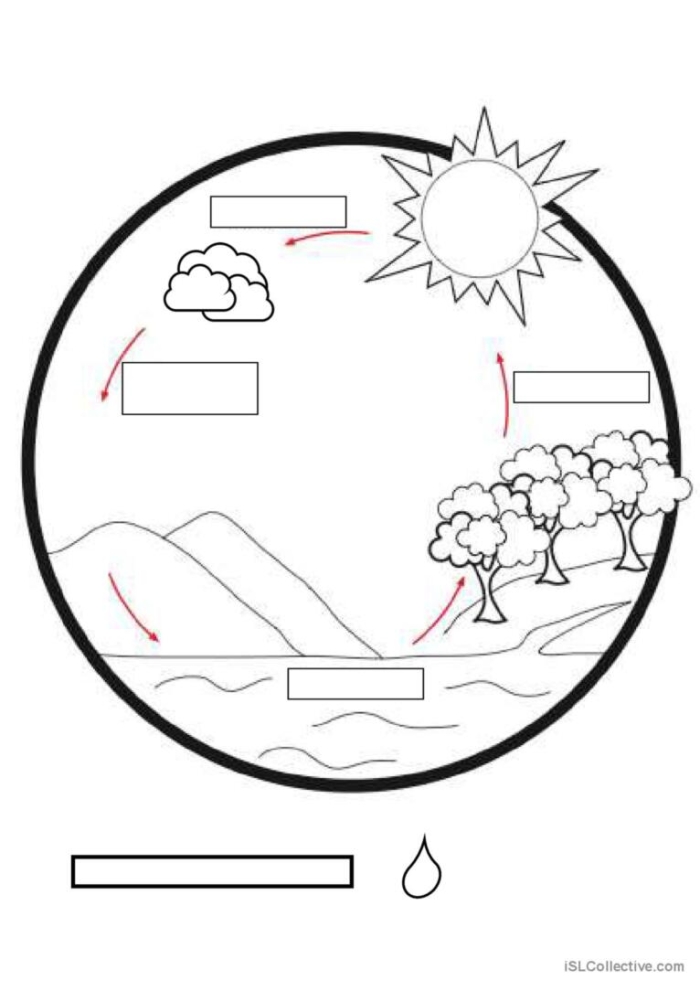 A Series of Events: The Water Cycle worksheet for engaging student learning A colorful worksheet illustrating the steps of the water cycle for third graders to learn about natural events