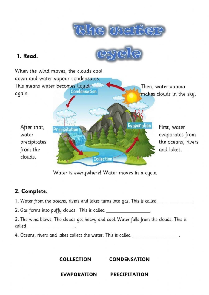 Visual guide for understanding the sequence of events in the water cycle Worksheet illustrating the water cycle steps for third graders
