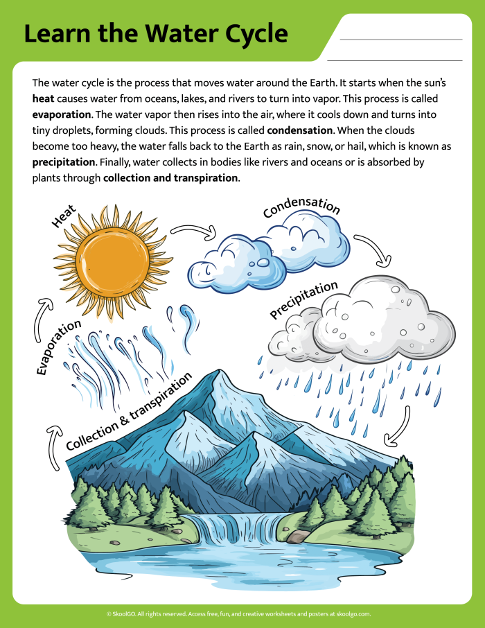 A Series of Events: The Water Cycle worksheet for students Worksheet for understanding the key phases of the water cycle in third-grade education