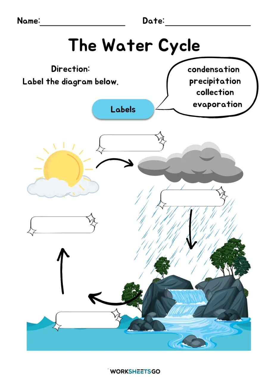 A Series of Events: The Water Cycle educational resource for students A worksheet for third graders focusing on the sequence of events in the water cycle