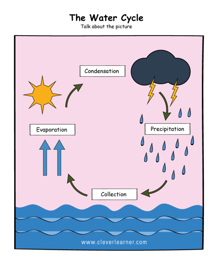 A Series of Events: The Water Cycle activity sheet for students Worksheet illustrating the steps of the water cycle for third graders