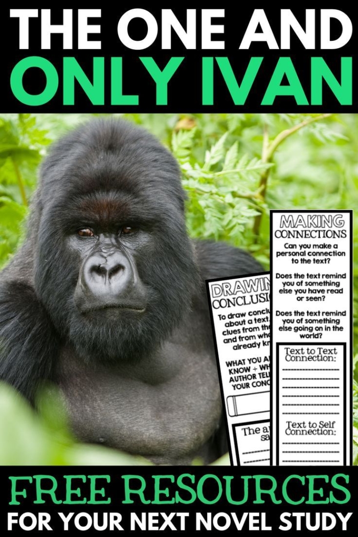 Third grade worksheet focused on designing a zoo inspired by The One and Only Ivan
