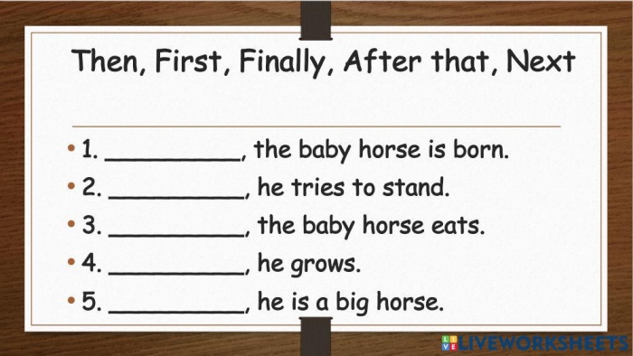 Summary with Time Order Words worksheet for Third Grade