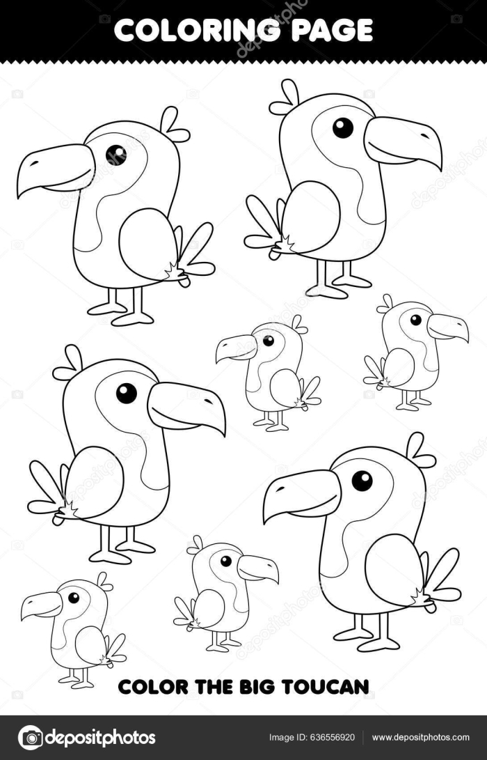Pre-K coloring page featuring a toucan to learn about nature and government concepts Color the toucan worksheet for Pre-K civics and government activities