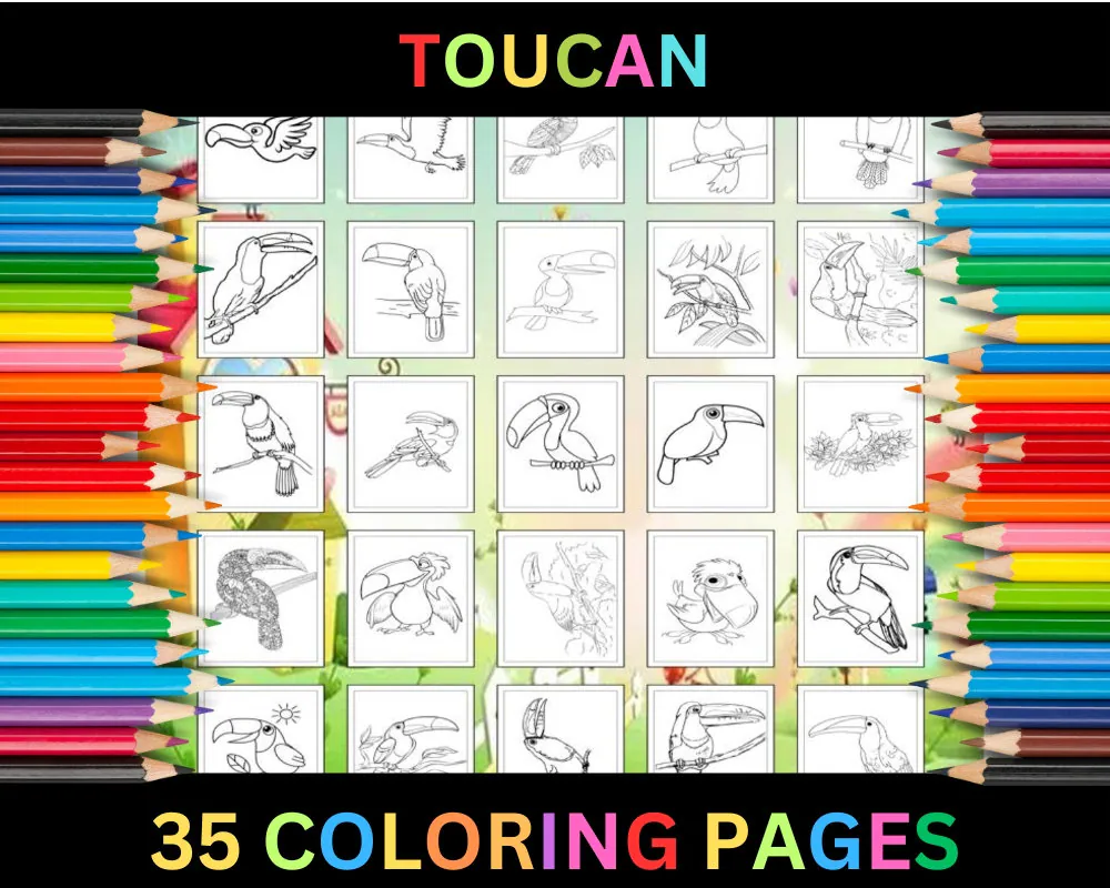 Fun pre-K civics worksheet featuring a toucan to color and learn about nature Colorful toucan illustration for young learners to color on a worksheet