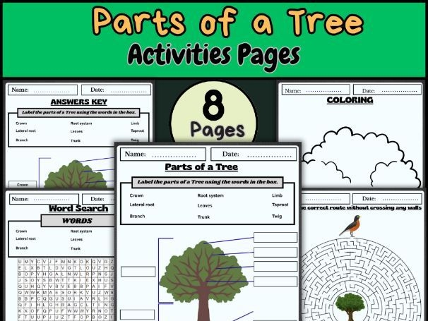 Engaging pictograph activity featuring trees, ideal for practicing geometry concepts in Grade 2 Tree pictograph worksheet for second graders to enhance math skills and symbol recognition