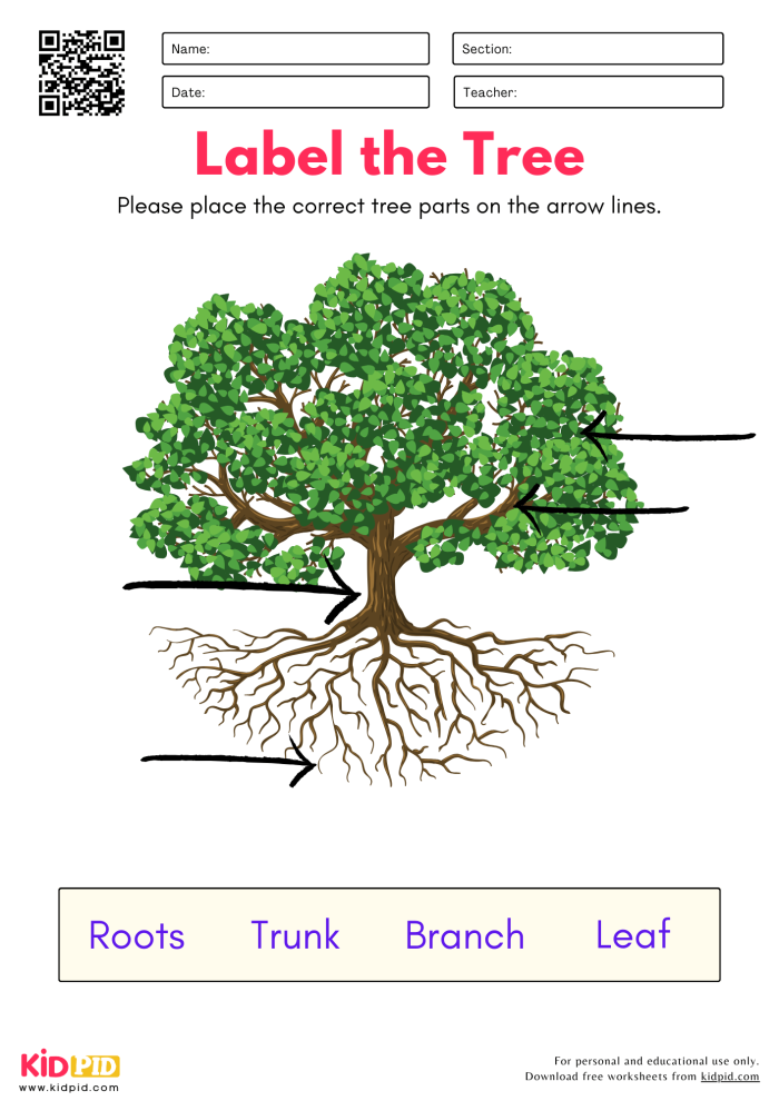 Engaging pictograph worksheet featuring trees for young learners Tree Pictograph worksheet for second graders to enhance math and symbol skills