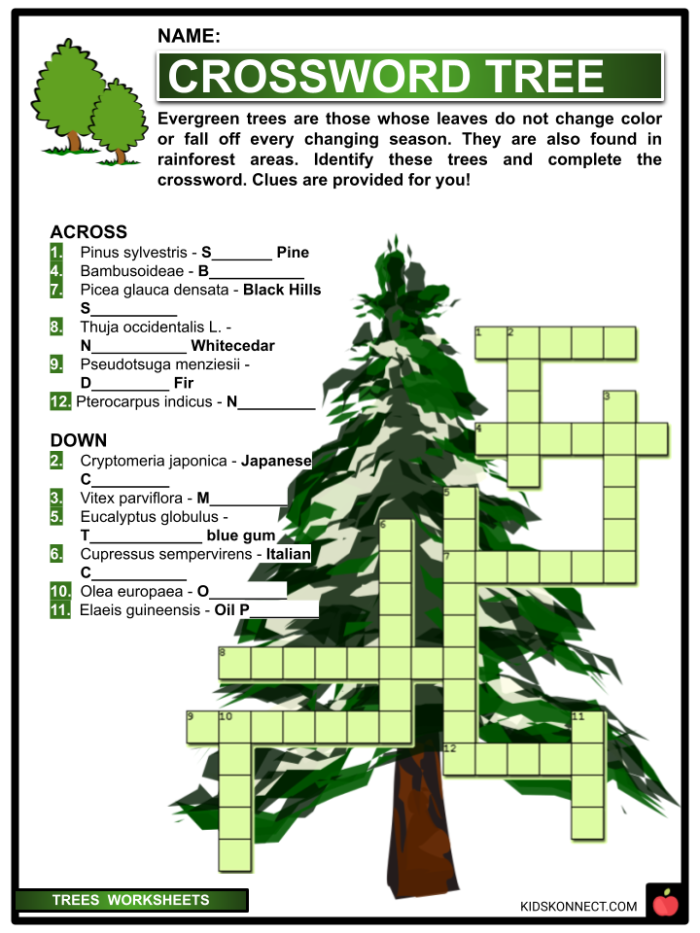 Engaging pictograph activity featuring trees for young learners in geometry Tree Pictograph worksheet for second graders to enhance math and symbol skills