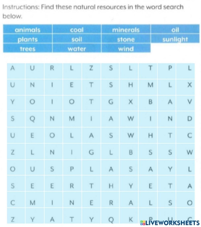 Natural Resources Word Search activity for second graders focusing on addition skills and key terms Second grade addition worksheet featuring a natural resources word search for vocabulary practice