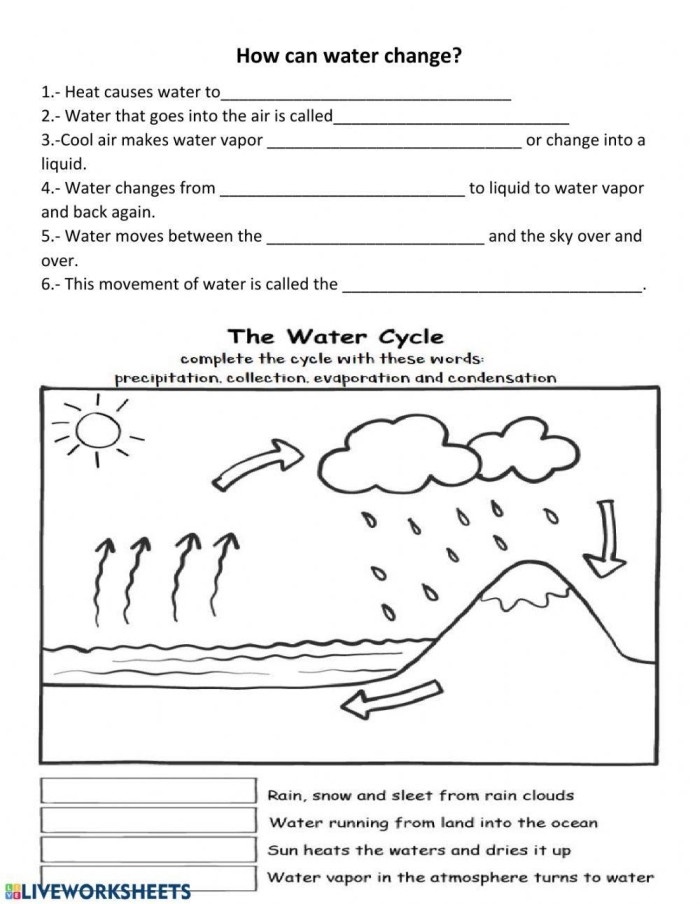 A Series of Events: The Water Cycle worksheet for third graders Illustration of the water cycle showing key events for students to connect and order