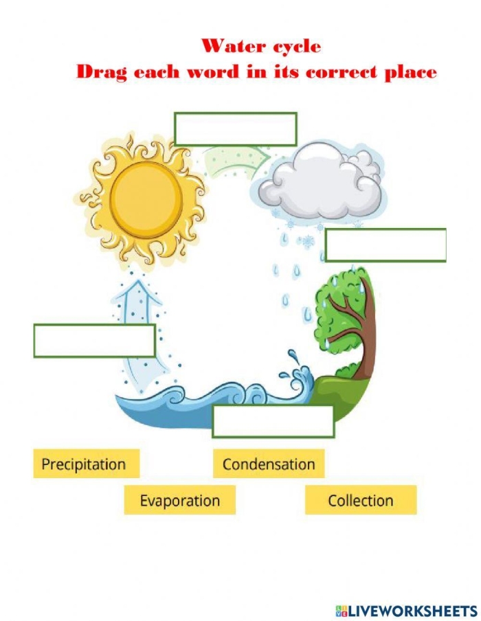 Alphabet worksheet for Third Grade Worksheet illustrating the water cycle for third graders to practice sequencing events in nature. A Series of Events: The Water Cycle worksheet for students.