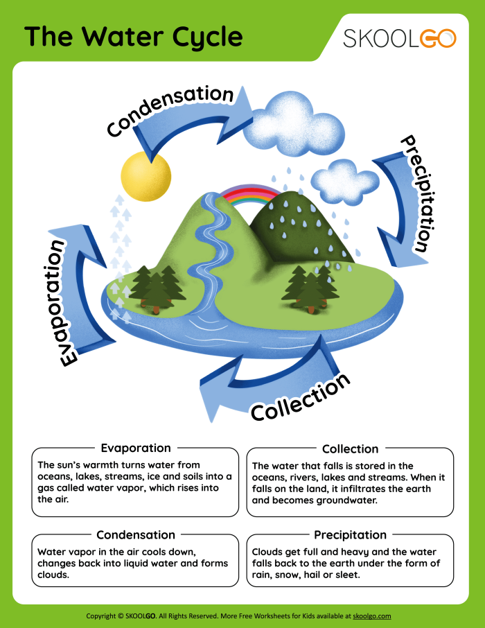 Educational resource for understanding the sequence of events in nature: Water Cycle Worksheet A colorful worksheet illustrating the steps of the water cycle for third graders