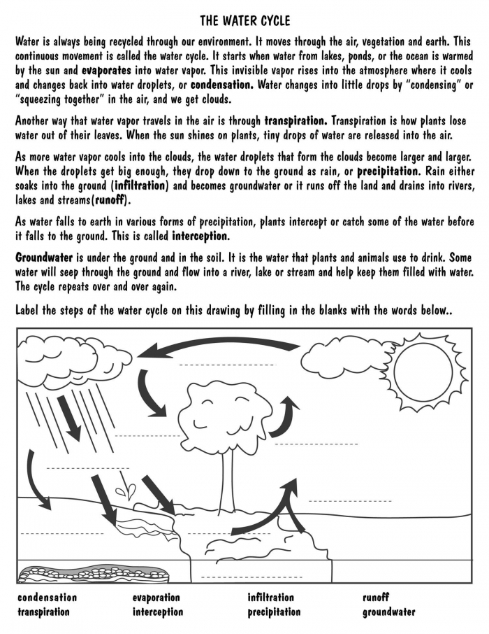 Water Works worksheet for third grade focusing on measurement concepts Third grade student completing a Water Works worksheet on the water cycle