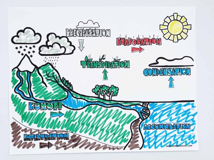 Printable Water Works worksheet for third graders exploring the water cycle and measurement skills Third grade Water Works worksheet focusing on the water cycle and measurement concepts