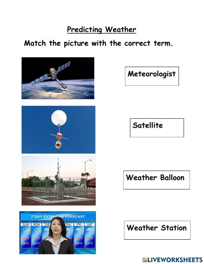 First Grade student completing a Predicting Weather worksheet focused on weather terms and observations