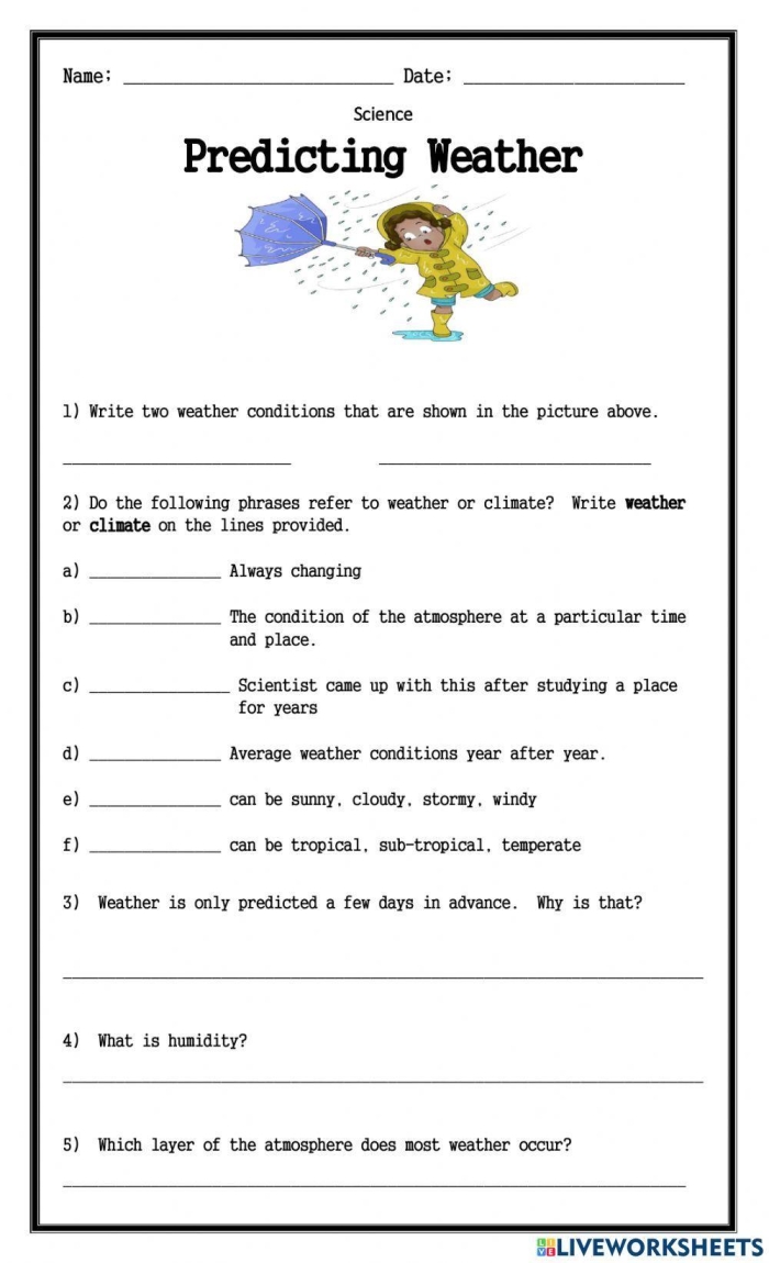 First Grade student completing a Predicting Weather worksheet focusing on weather terms and observation skills