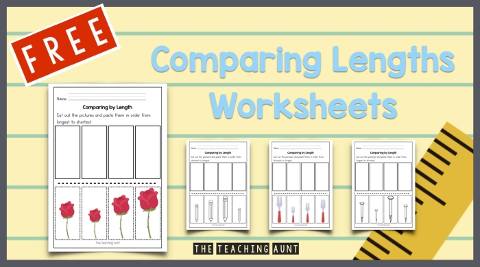 Economics worksheet for First Grade Which One is Longer? worksheet for First Grade