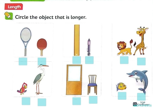 Economics worksheet for First Grade Which One is Longer? worksheet for First Grade