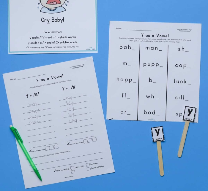 First grade worksheet featuring words where Y acts as a vowel for early readers